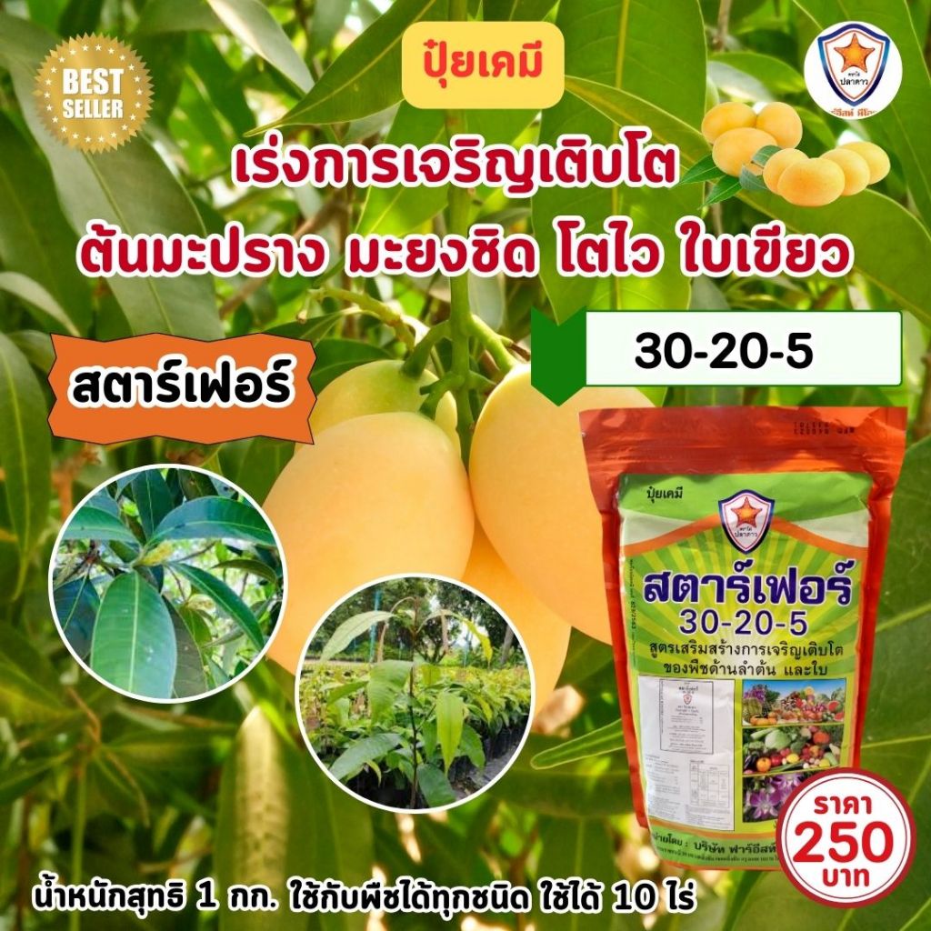 ปุ๋ย ฉีดพ่น ต้นมะปราง มะยงชิด โตไว ใบเขียว เร่งราก เร่งดอก ผลใหญ่ ดกเต็มต้น น้ำหนักดี เพิ่มผลผลิต โดย สตาร์เฟอร์