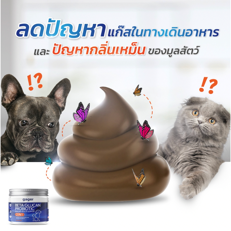 รูปภาพ 6