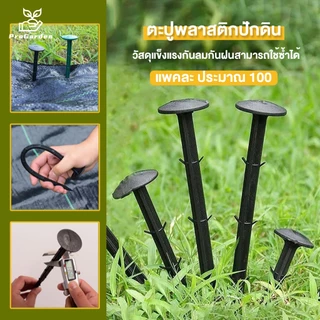 PG.เหล็กเสียบ เหล็กปักดิน หมุดปัก หมุดยึดผ้าคลุมวัชพืช ขนาด 6 นิ้ว และ 8 นิ้ว แพคละ ประมาณ 100/50ชิ้น หมุดปักผ้าคลุมดิน