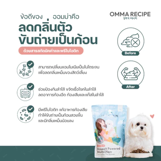 อาหารสุนัข OMMA RECIPE สูตร Insect Nutrition จากโปรตีนแมลง