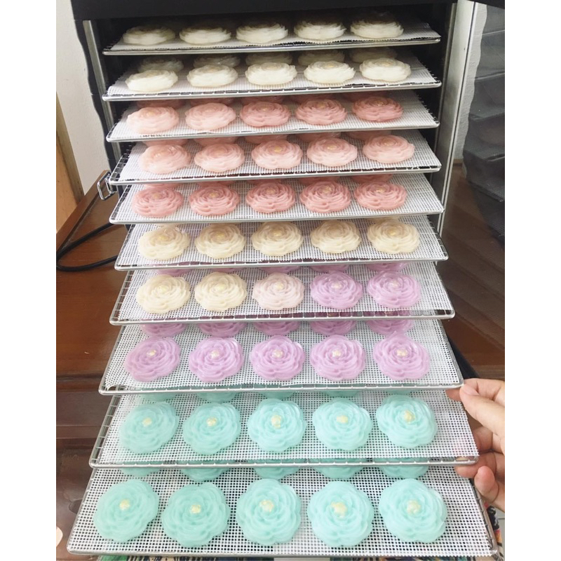 อาลัวลายกุหลาบสีพาสเทล 100 ชิ้น