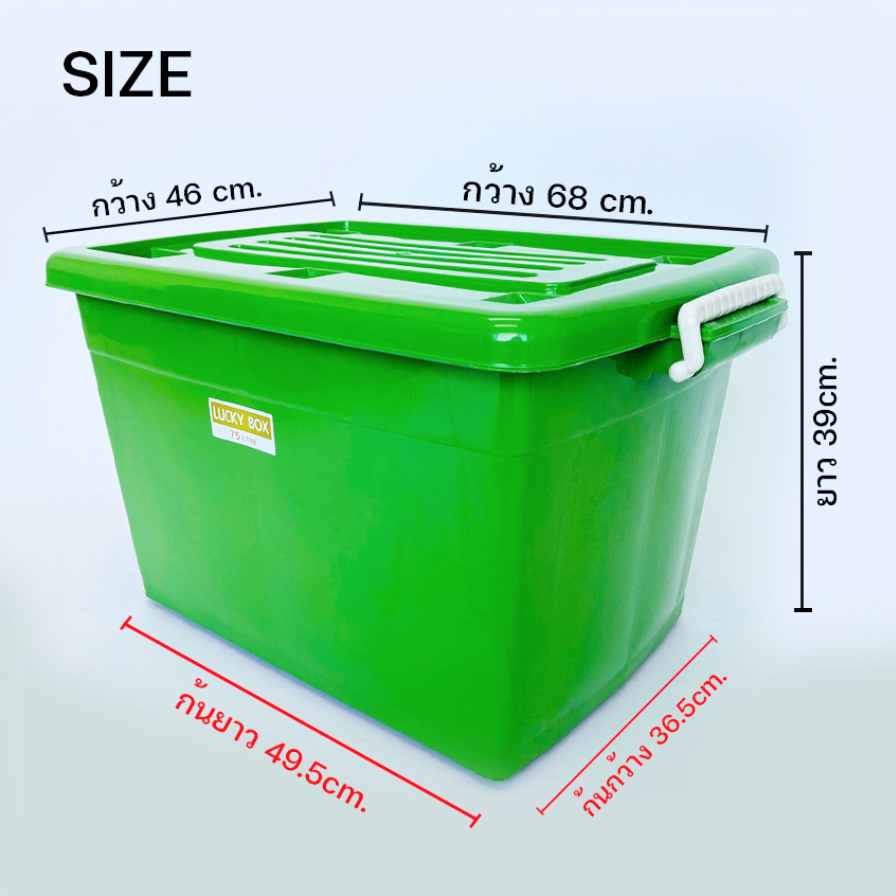 รูปภาพ 4