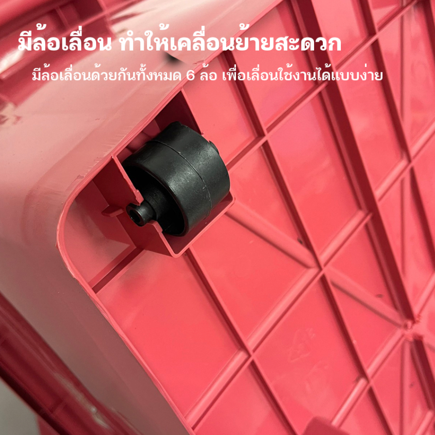 รูปภาพ 7