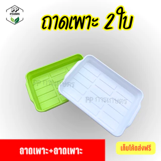 ถาดเพาะต้นกล้า ถาดเพาะผักไฮโดรโปนิกส์ ถาดเพาะเมล็ด ใส่ฟองน้ำได้พอดี (*คละสี*)