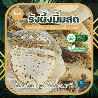 💥🐝 รังผึ้งป่า รังมิ้ม รังผึ้งธรรมชาติ 100% Honey nest [ รอรั…
