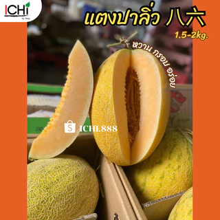 🍈แตงทิเบต ฮามิกัว เมล่อน (1ลูก)