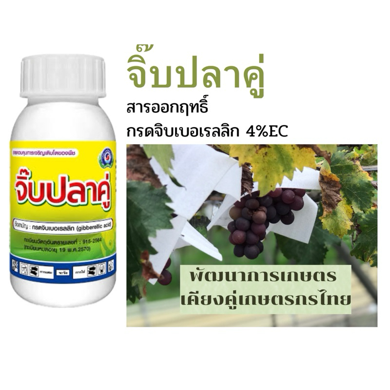 จิ๊บเบอเรลลิกแอซิด4% ยืด ขยายเซลล์พืช จิ๊บปลาคู่ ขนาด 100 ซีซี