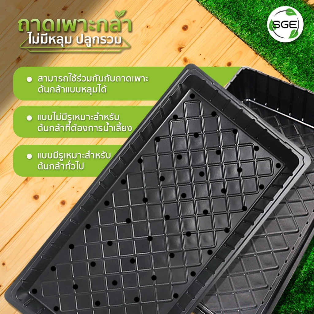 SGE ถาดเพาะกล้า ถาดเพาะชำ เพาะเมล็ด วัสดุ PET หนา ยืดหยุ่น thumbnail 4