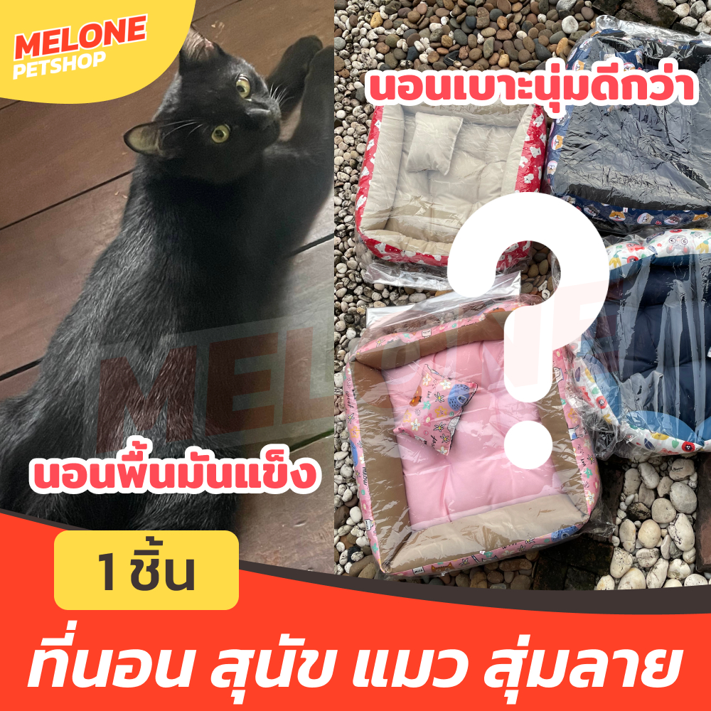 ที่นอนแมว ที่นอนสุนัข เบาะนอน แบบนิ่ม สุ่มลาย น่ารัก มีหมอน ไซส์ 2 ขนาด 40x40cm และ 45x45cm