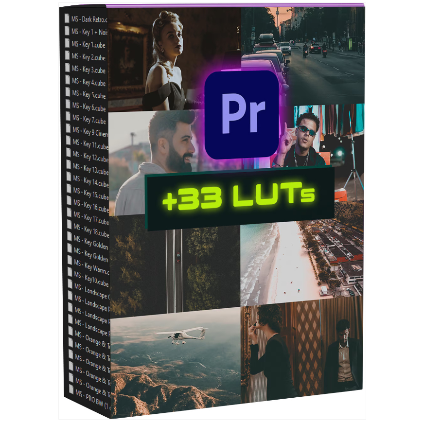 พรีเซท 30 Professional LUTs For Adobe Premiere Pro