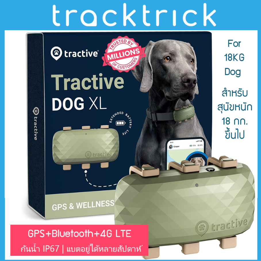 Tractive DOG XL - GPS Dog Tracker ปลอกคอ GPS ไม่จำกัดระยะ สำหรับสุนัขขนาดใหญ่ GPS หมา Realtime