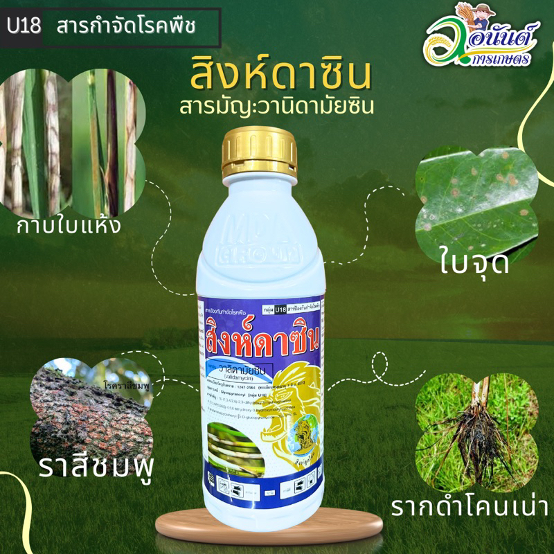 สิงห์ดาซิน สามัญวานิดาป้องกันกำจัดเชื้อราโรคพืช