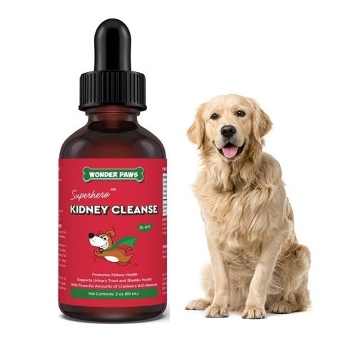 Premium Kidney Cleans อาหารเสริมสุนัข บำรุงไต ลดของเสียในไต บำรุงทางเดินปัสสาวะ 60 ml