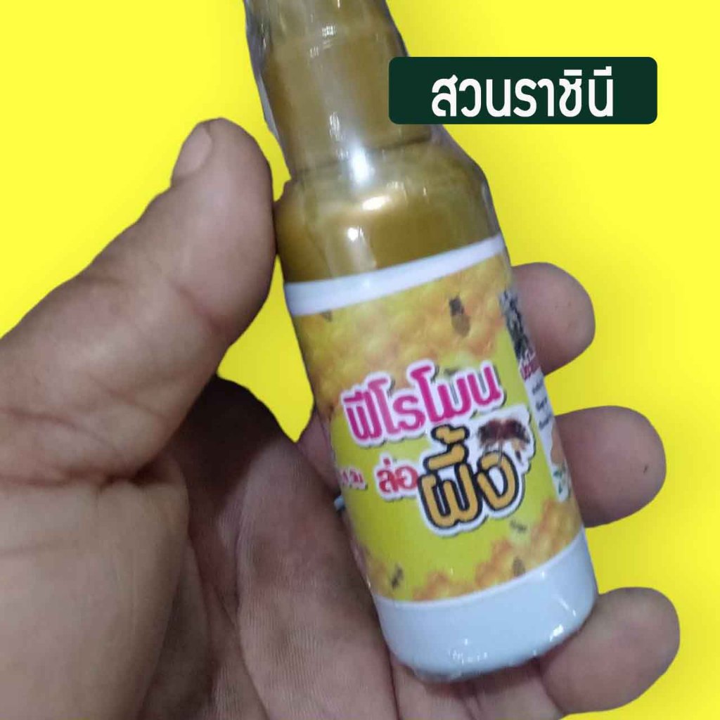 ฟีโรโมนฉีดล่อผึ้ง เลี้ยงผึ้ง กล่องเลี้ยงผึ้ง ฉีดฟีโรโมน สารล่อผึ้ง ฟีโรโมนล่อผึ้ง ผึ้งโพรง ล่อผึ้งโพรง