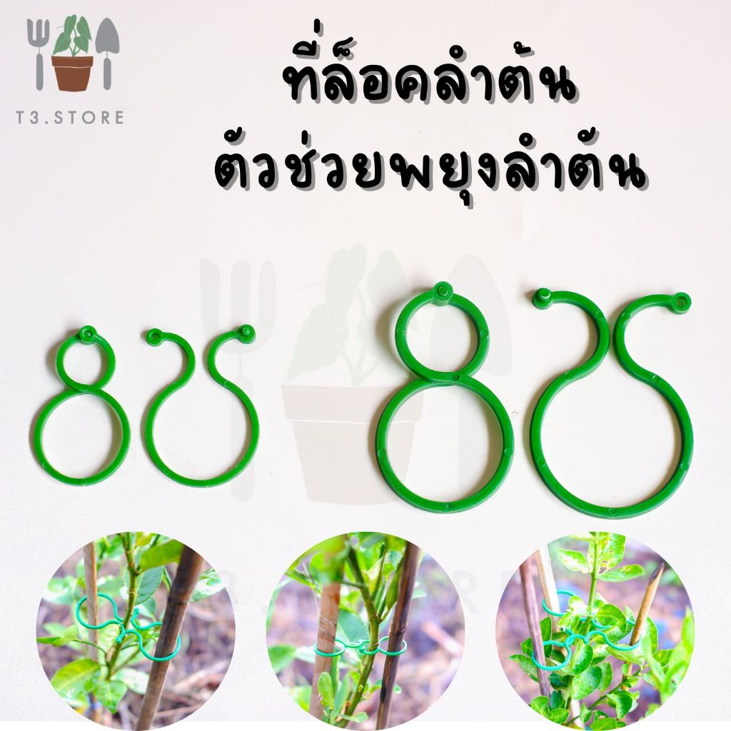 ตัวล็อคยึดต้นไม้ ที่ค้ำต้นไม้ ตัวค้ำต้นไม้ วัสดุเกรด A ส่งของทุกวัน สินค้าส่งจากไทย