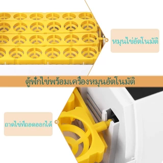 ตู้ฟักไข่ถูกๆ 7-56ฟอง ตู้ฟักไข่อัตโนมัติ รับประกัน คลิปสอนงาน เครื่องฟักไข่ไก่ เป็ด นก นกกระทา สัตว์ปีก ของแถมครบเซ็ต