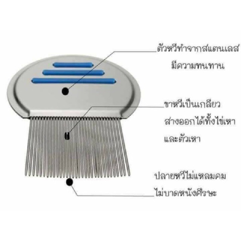 หวีสางเหา หัวหลุดหระจาย กำจัดเหา แปรงหวีตัวเหา หวีสแตนเลสสางตัวเหา ไข่เหา - รูปที่ 3