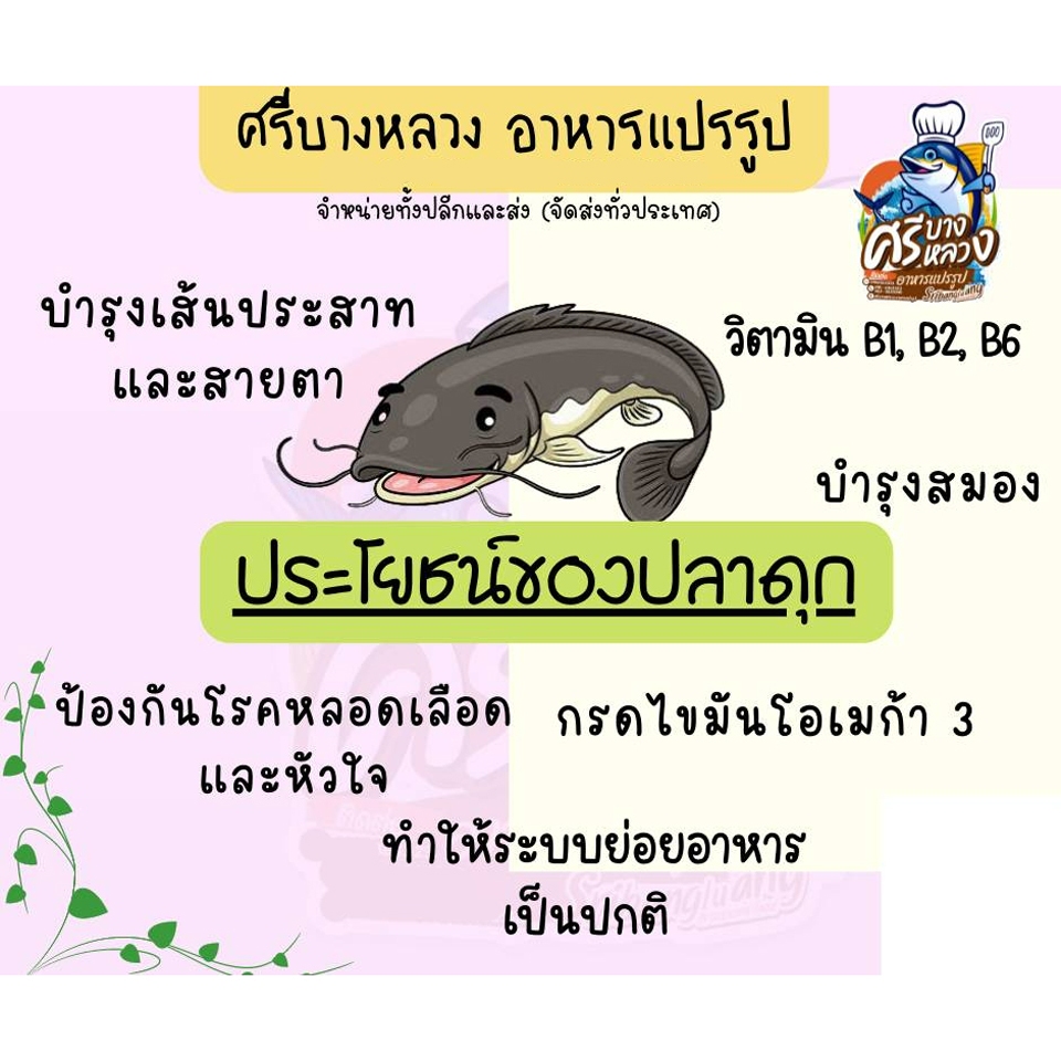 รูปภาพ 3