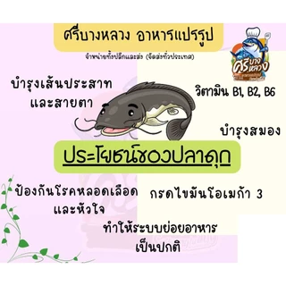 ปลาดุกแดดเดียว​ 8-10ตัวโล ไม่ใส่สาร​ ไม่ใส่สี