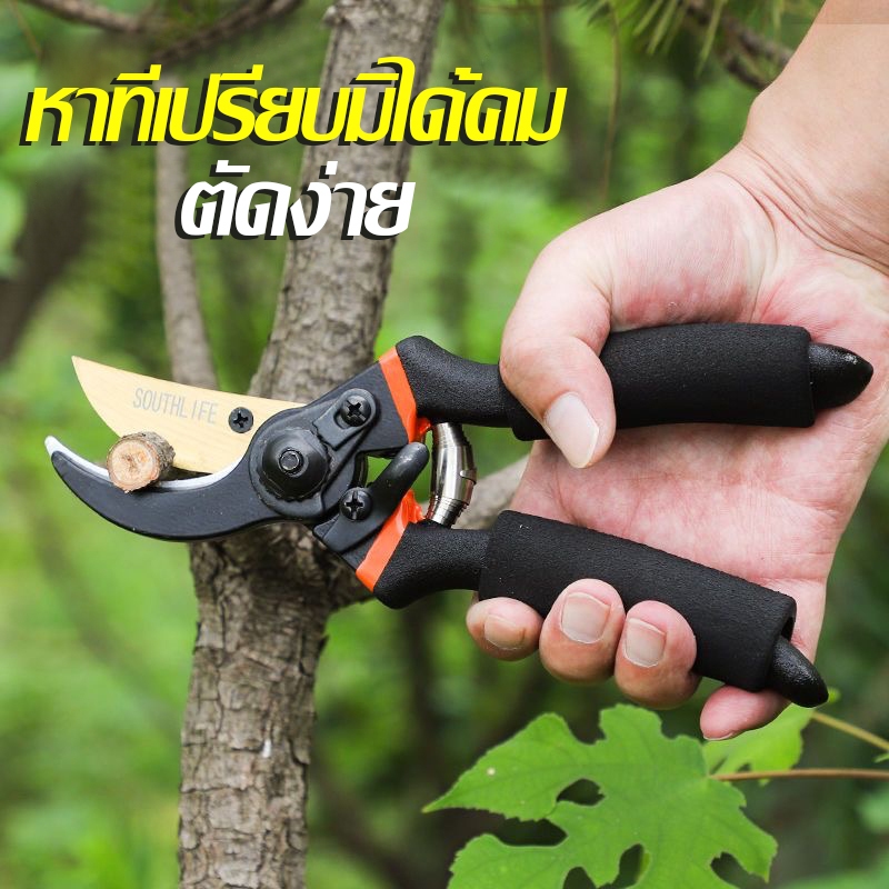 จัดส่งในวันเดียวกัน ✂️กรรไกรตัดกิ่งไม้ กรรไกรตัดหญ้า แต่งสวน กรรไกรตัดกิ่ง sk5✂️