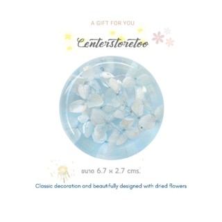 🌸🌿ที่ทับกระดาษทรงขอบมน ดอกไฮเดรนเยียอบแห้ง โทนฟ้าอ่อน (dried…
