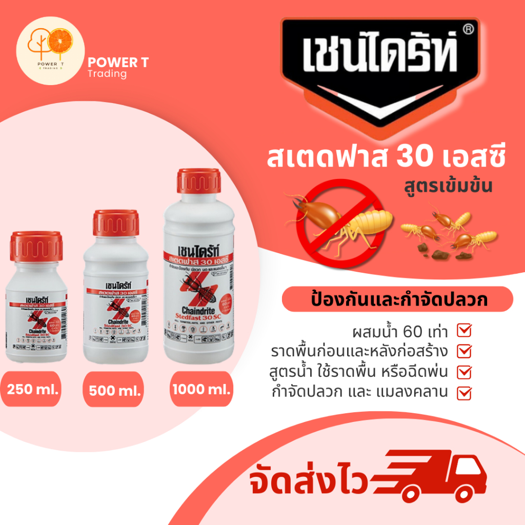 Chaindrite เชนไดร้ท์ สเตดฟาส 30 เอสซี น้ำยากำจัดปลวก แบบเข้มข้น ผสมน้ำ 60 เท่า