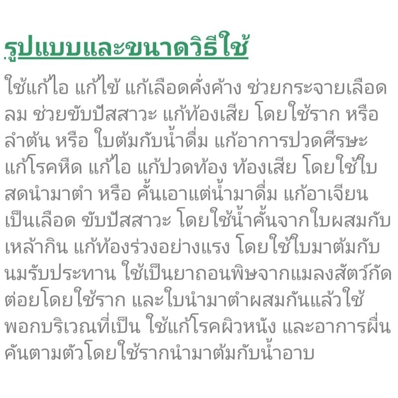 ต้นกระดูกไก่ดำ​ ปีกไก่ดำ​ ขาไก่ดำ สมุนไพรลดอักเสบ​ลดปวด ยา รักษา บำรุง ป้องกัน ไขข้อ  ดิน ปุย เม็ด กระถาง ต้นไม้ ช้ำใน ราคา ถูกที่สุด ดีลบีเคเค แกลเลอรีภาพที่ 8