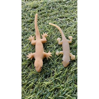 🧟‍♀️🧟‍♂️ตุ๊กแกปลอม ขนาดยาว8นิ้ว/จิ้งจก/แมลงสาบ/แมลงวัน