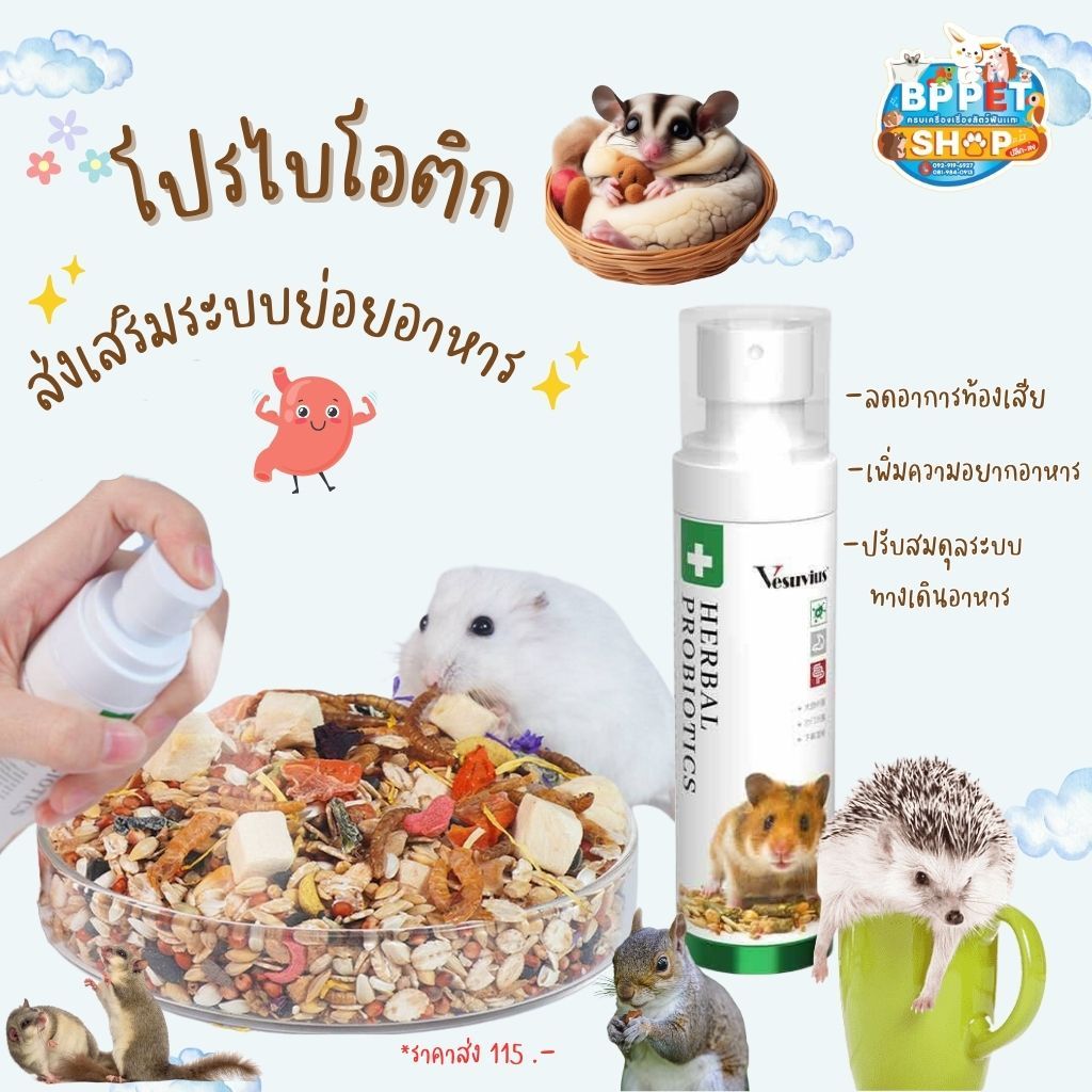 วิตามินสำหรับ หนูแฮมเตอร์ ชูก้าร์ไกลเดอร์ กระรอก เม่นแคระ โปรไบโอติกสำหรับสัตว์เลี้ยง Vesuvius วิตามินสัตว์เล็ก