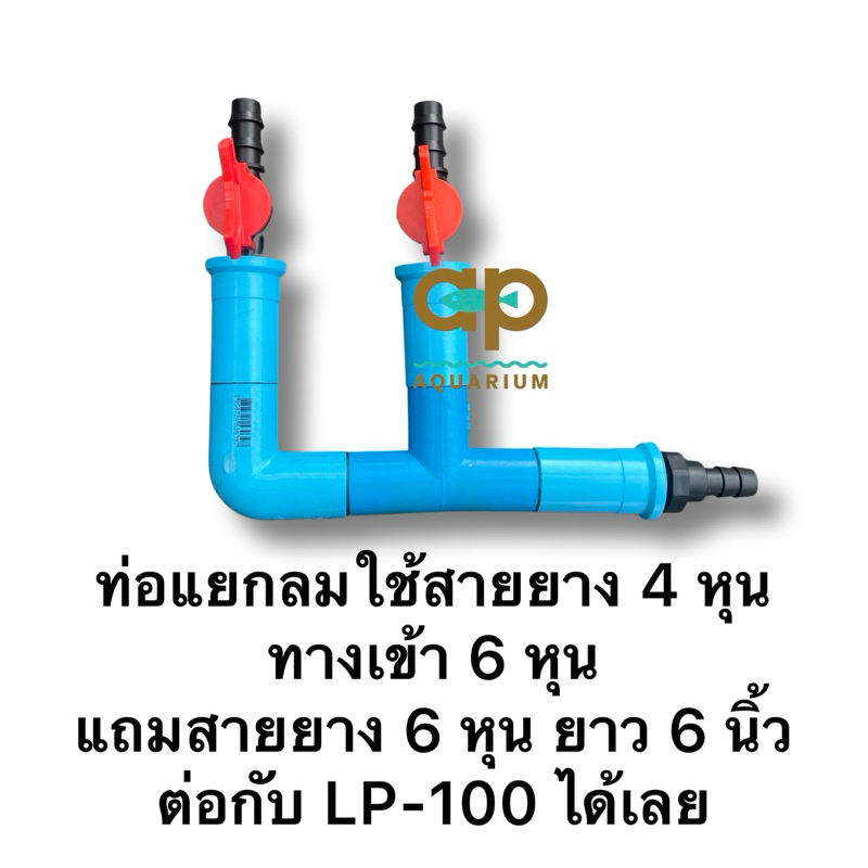 ท่อแยกลมใช้สายยาง 4 หุน ทางเข้า 6 หุน  แถมสายยาง 6 หุน ยาว 6 นิ้ว ต่อกับ LP-200 LP-100 LP-60 ได้เลย ราคา ถูกที่สุด ดีลบีเคเค รูปภาพหลัก