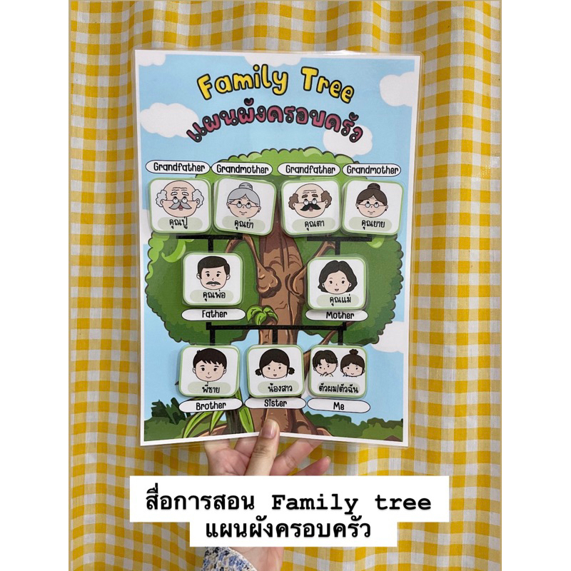 สื่อการสอนจับคู่คำศัพท์กับรูปภาพ family tree 🌳