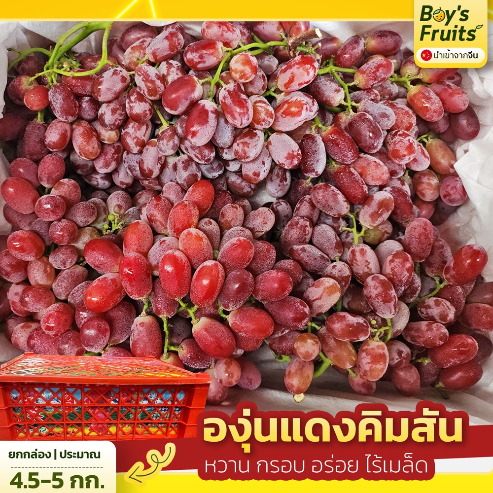 องุ่นคิมสันไร้เมล็ด ยกลัง | boy's fruits บอยฟรุ๊ต