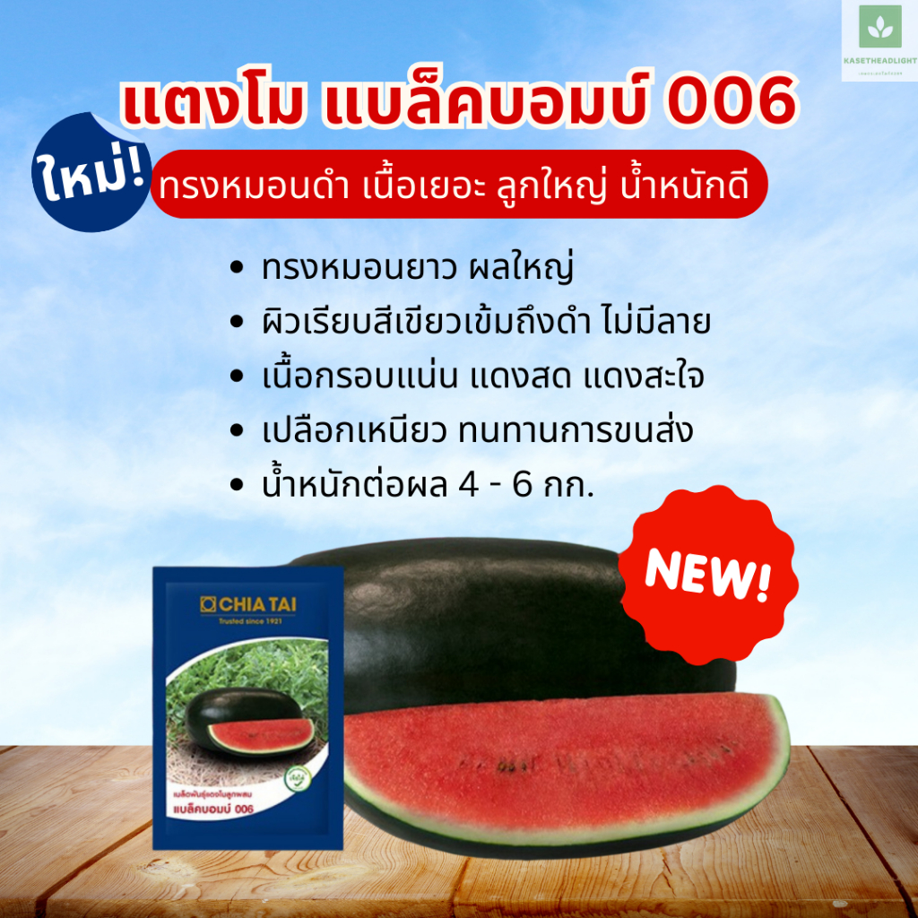 ใหม่! แบล็คบอมบ์ 006 ทรงหมอน ลูกดำ 40กรัม/ซอง เมล็ดพันธุ์แตงโม แตงโมเจียไต๋ แบล็