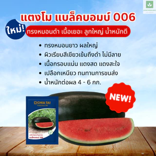 ใหม่! แบล็คบอมบ์ 006 ทรงหมอน ลูกดำ 40กรัม/ซอง เมล็ดพันธุ์แตงโม แตงโมเจียไต๋ แบล็คบอม 006 Blackbomb