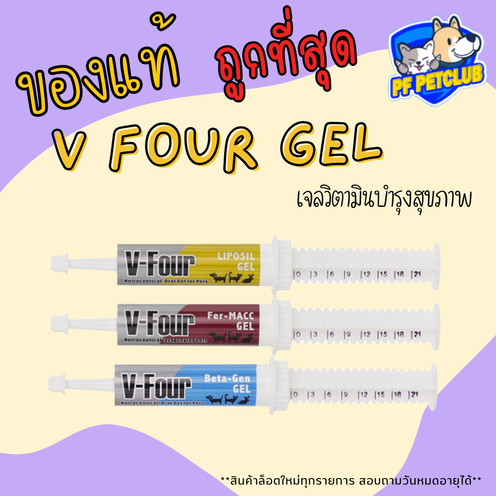 VFour gel สำหรับสุนัขและแมว ขนาด 21 กรัม มี 3 สูตร Liposil / Fer-MACC/Beta-gen ล็อตใหม่ล่าสุด