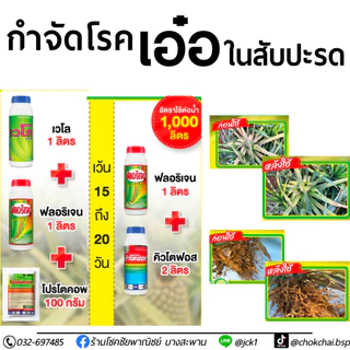เวโล ยากำจัดเชื้อไวรัส ใช้ในการเกษตร ขวดละ 1 ลิตร