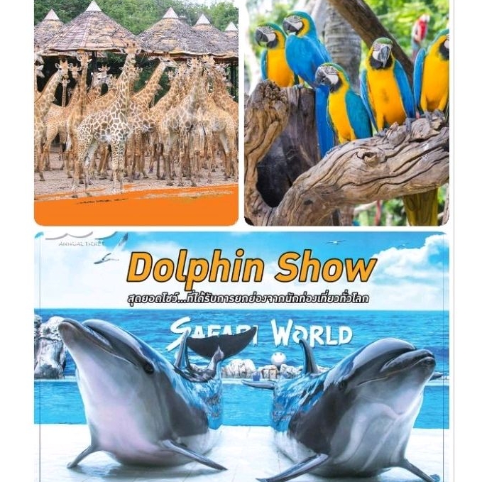 บัตรซาฟารีเวิลด์ Safari World เข้า 2 โซน ราคาถูกมากก🔥🔥