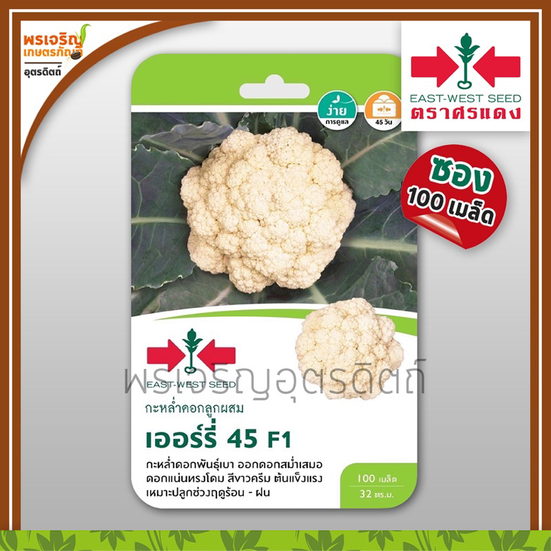 เมล็ดพันธุ์กะหล่ำ กะหล่ำดอก เออร์รี่ 45 F1 (แบบซอง) เมล็ดกะหล่ำศรแดง เมล้ดกะหล่ำดอกลูกผสม เมล็ดพันธุ์ผักสวนครัว ตราศรแดง