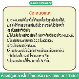 【 พร้อมส่ง 】 แบคทีเรียบาซิลลัสBC(เบอร์3)ควบคุมโรครากเน่า โคนเน่า เเคงเกอร์