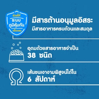 PEDIGREE เพดดิกรี อาหารสุนัขโต (ยกกระสอบ 20KG.) สำหรับสุนัขอายุ 1 ปีขึ้นไปที่แข็งแรง โภชนาการครบถ้วน