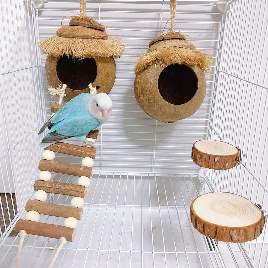 [waomenn_]บ้านกะลามะพร้าวสัตว์เลี้ยง หนู นก แฮมสเตอร์ กระรอก อื่นๆ แบบแขวน และแบบมีบันไดขึ้น