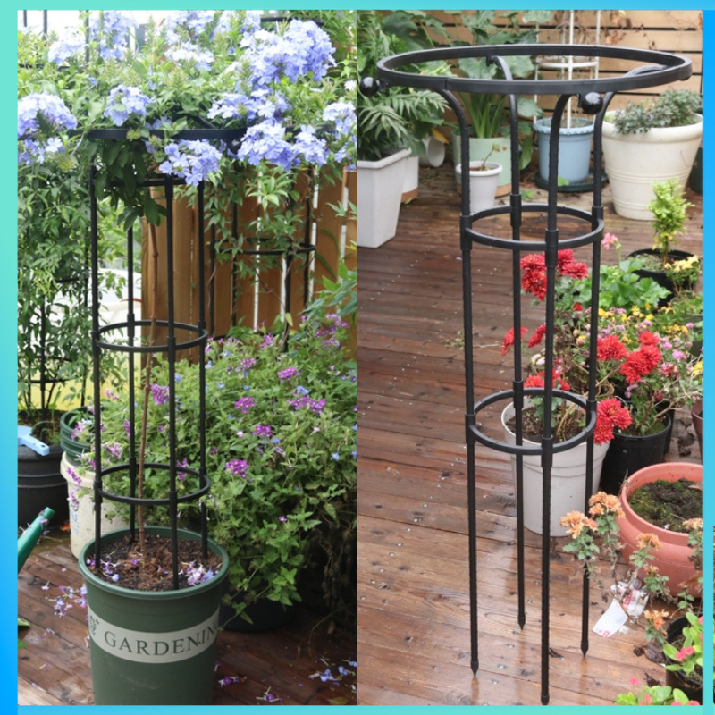 ซุ้มทรีโรส ซุ้มกุหลาบ แบบถอดประกอบ