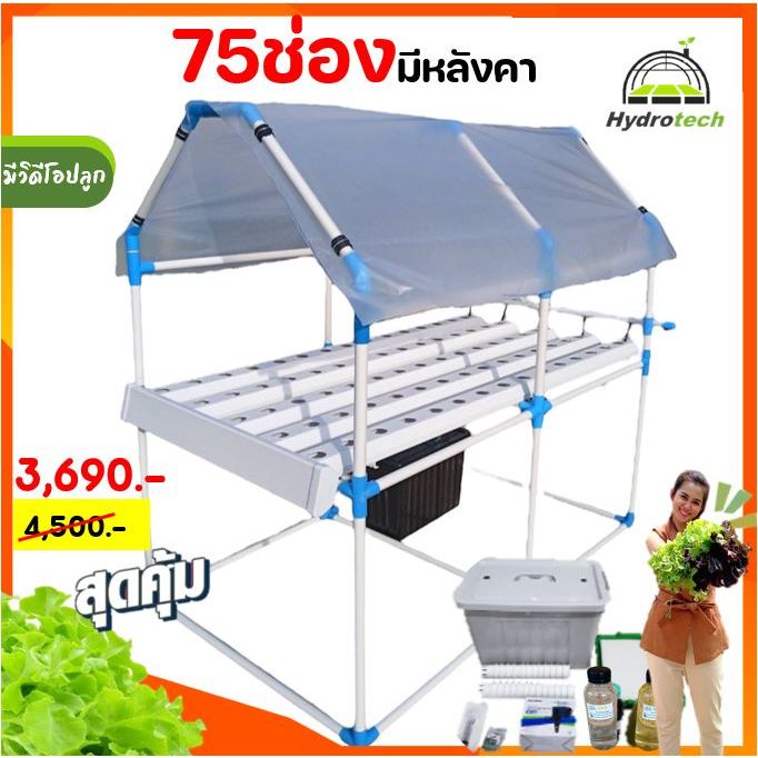 [ชุดสุดคุ้ม]ชุดปลูกผักไฮโดรโปนิกส์น้ำวน NFT 75ช่อง แบบมีหลังคา