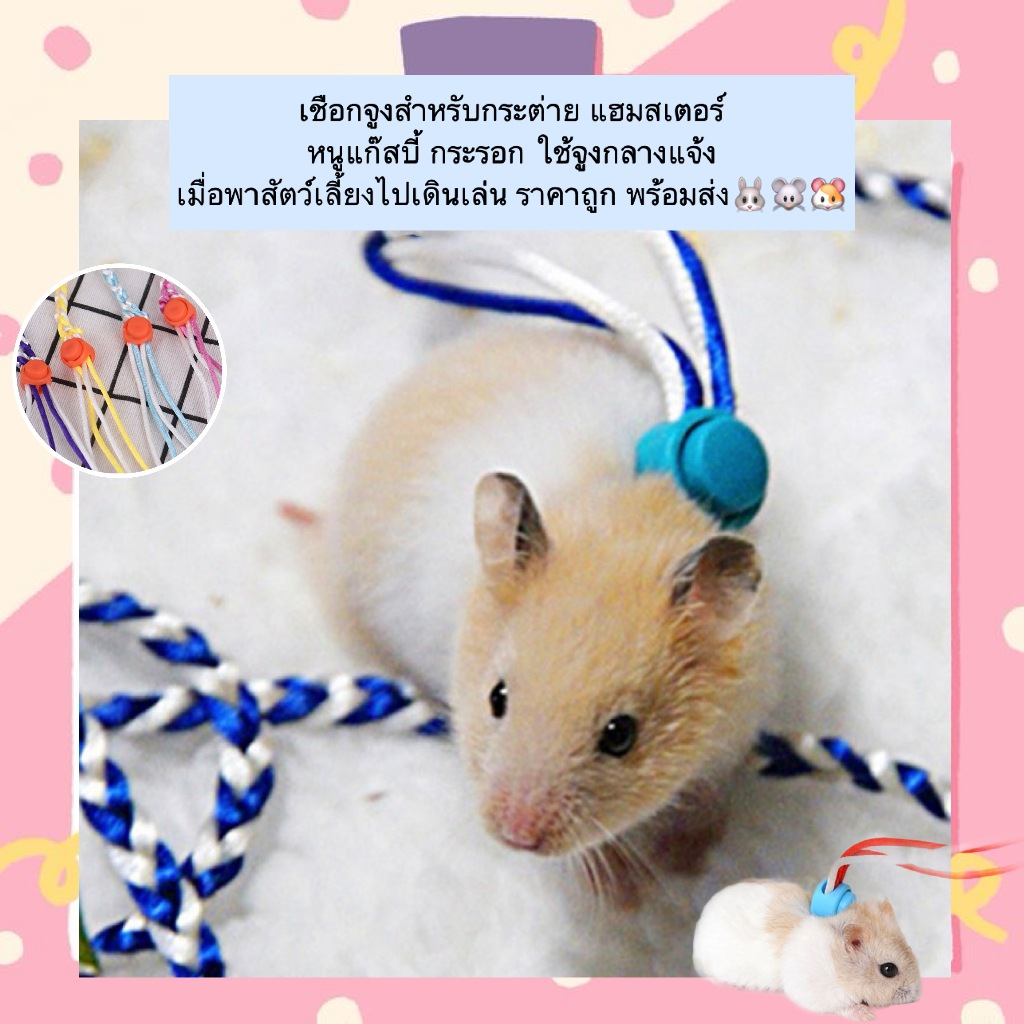AL-490 เชือกจูงสำหรับกระต่าย แฮมสเตอร์ หนูแก๊สบี้ กระรอก ใช้จูงกลางแจ้ง แข็งแรง เมื่อพาสัตว์เลี้ยงไปเดินเล่น ราคาถูก พร้