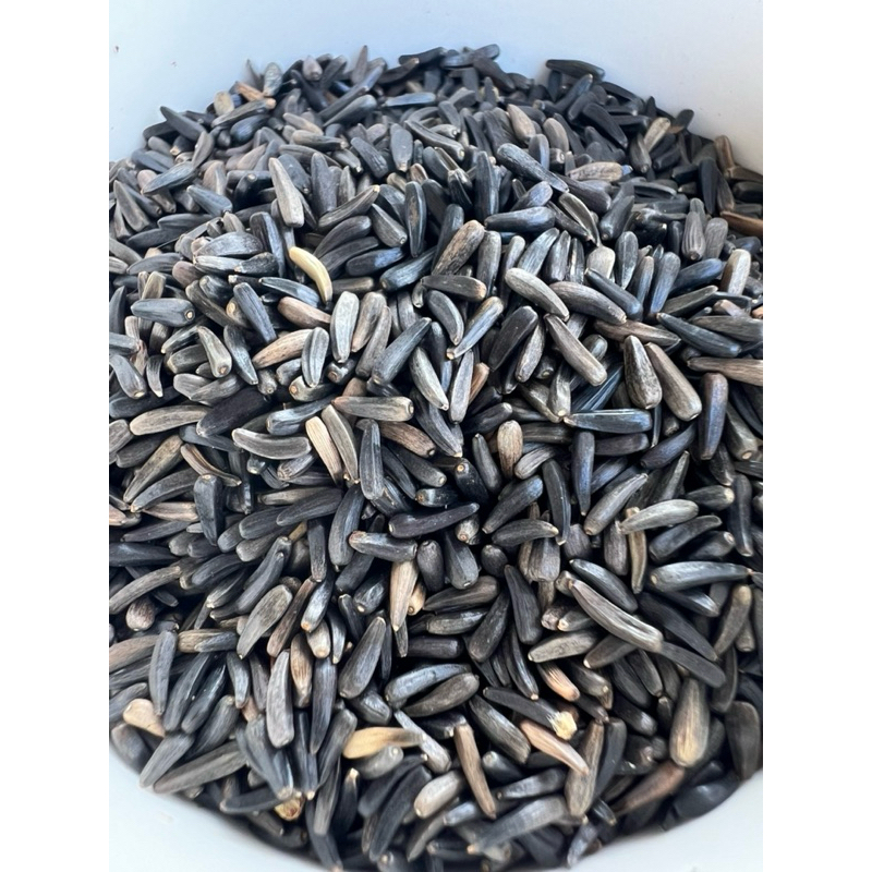 เมล็ดไนเจอร์ ขนาด 50กรัม สำหรับนก - รูปที่ 3