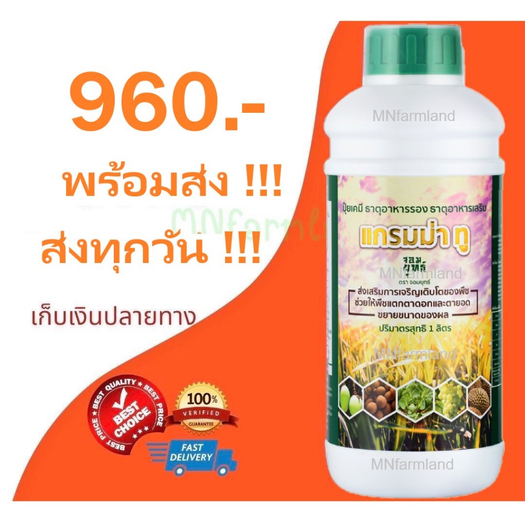 ปุ๋ยน้ำ แกรมม่าทู Gramma2 ขนาด 1 ลิตร ตราจอมยุทธ์ เสริมสร้างการเจริญเติบโตของพืช ธาตุอาหารรอง