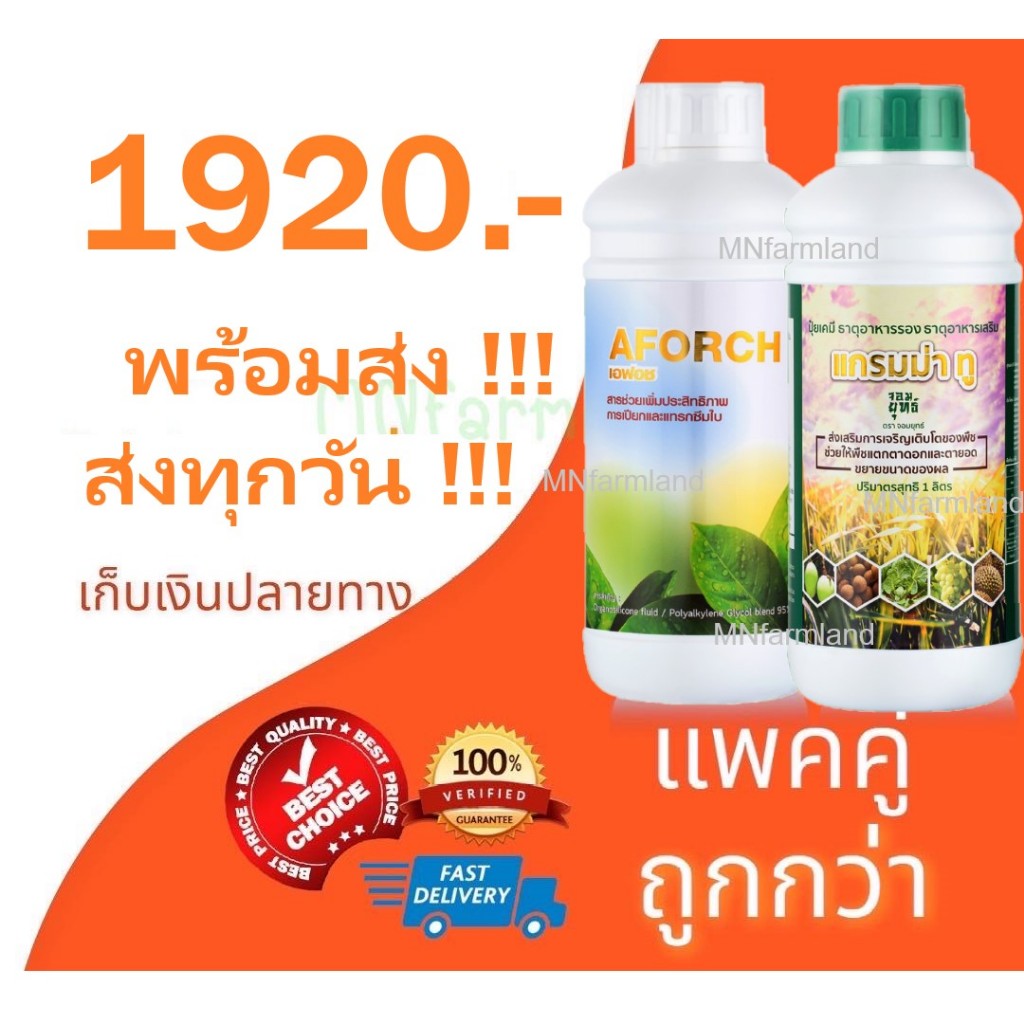 แอฟอซ + แกรมม่าทู สารจับใบ ปุ๋ยน้ำช่วยเร่งการเจริญเติบโต แพคคู่ ใช้คู่กันได้ ขวดละ 1 ลิตร ราคาแพคคู่ ถูก ลงกว่าเดิม
