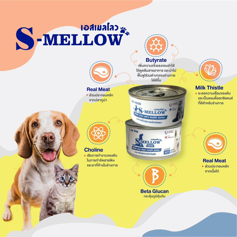 (( 1 กป. สีฟ้า แมว)) S-Mellow Cat เอส เมลโลว์ แคท อาหารสำหรับแมวป่วย 80 กรัม