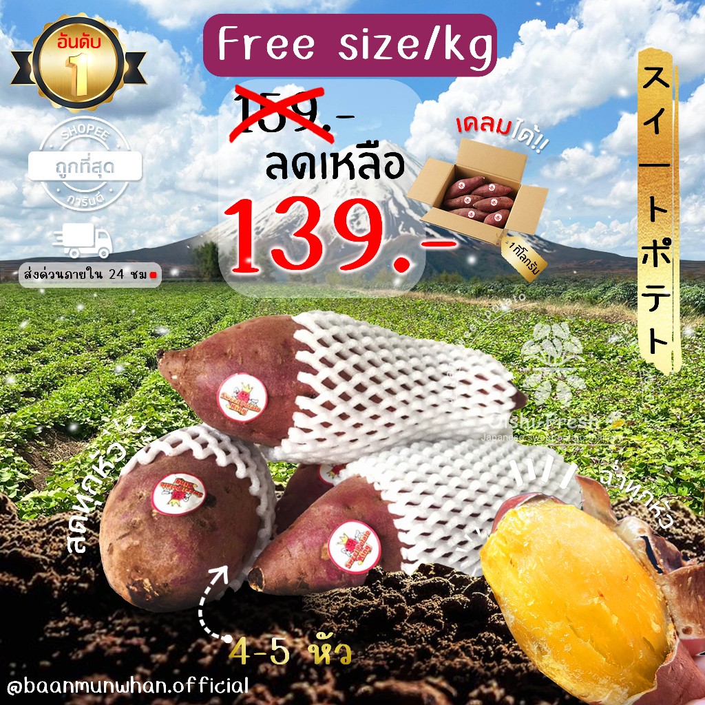 Oishi-Fresh มันหวานญี่ปุ่น ตรามงกุฏ Beni haruka Silk sweet เนื้อเหลือง หอมหวาน อร่อย 1 กก.สินค้าเคลมได้ 1-2 วัน