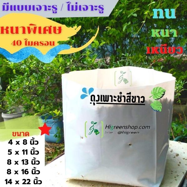 ถุงเพาะชำสีขาว ขนาด 14x22 นิ้ว จำนวน 20 กก. /ไม่เจาะรู